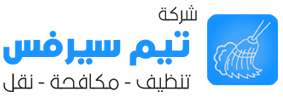 تيم سيرفس